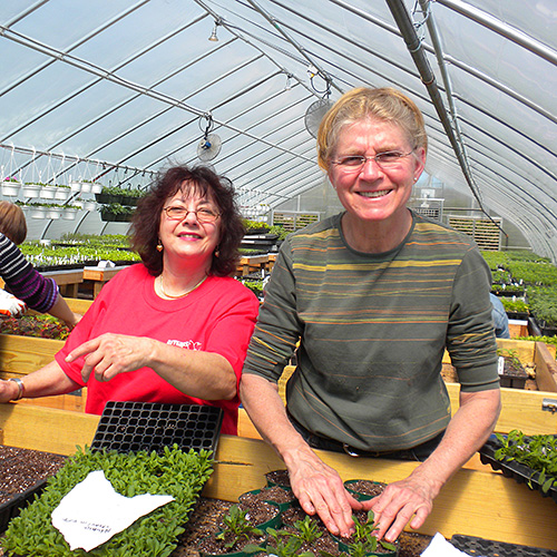 Photo: Rutgers Master Gardeners volunteering in a greenhouse.